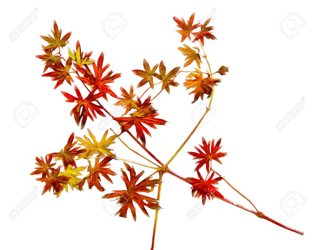 1300x1031 Drawing Of Dried Fall Leaves Of Plants And Branches Isolated