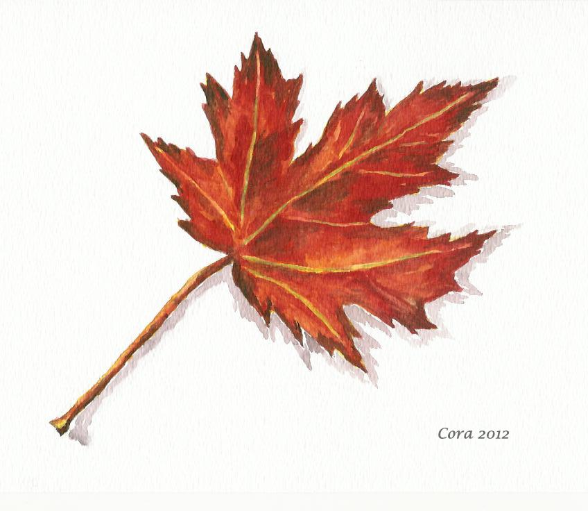 848x736 Journeys With Watercolors Another Autumn Leaf