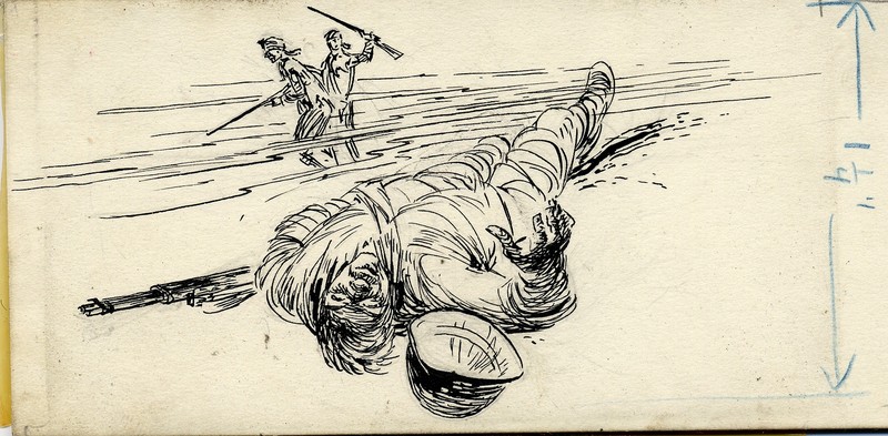 800x393 Silverfish Press