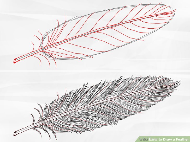 728x546 How To Draw A Feather 8 Steps (With Pictures)