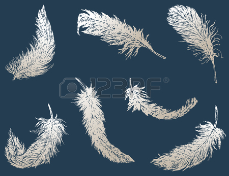 450x347 Image Of Two Flying Feathers. Royalty Free Cliparts, Vectors,