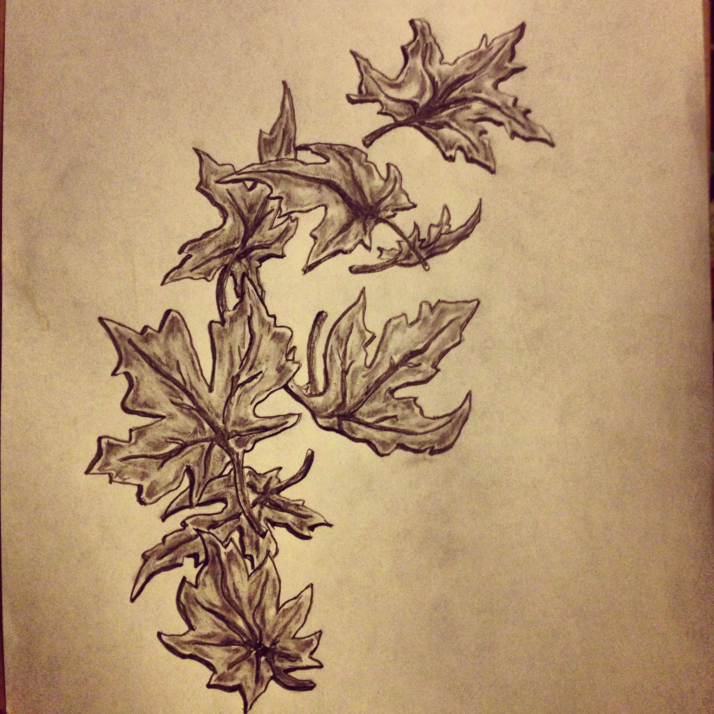 2448x2448 Fall Maple Leafs Tattoo Sketch By