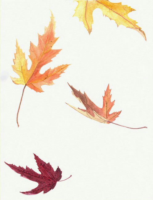496x650 Falling Leaves Drawing How To Amp Inspirations