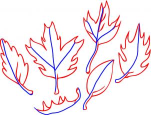 302x230 How To Draw How To Draw Leaves