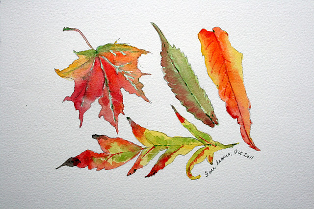640x427 Falling Leaves Rosemary's Blog
