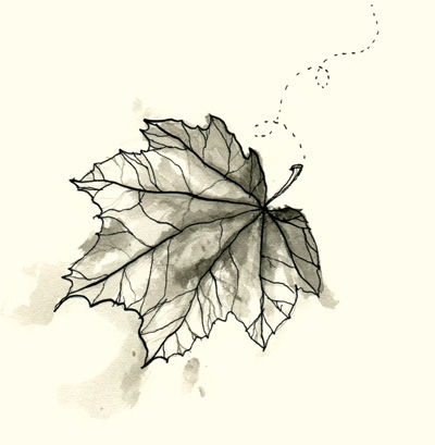 400x409 Notes From The Field The Saturday Evening Post