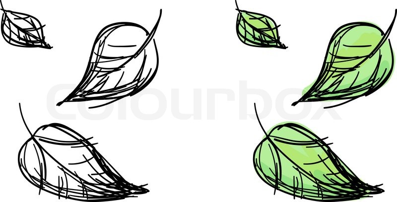 800x407 Vector Sketch Of Falling Leaves Stock Vector Colourbox