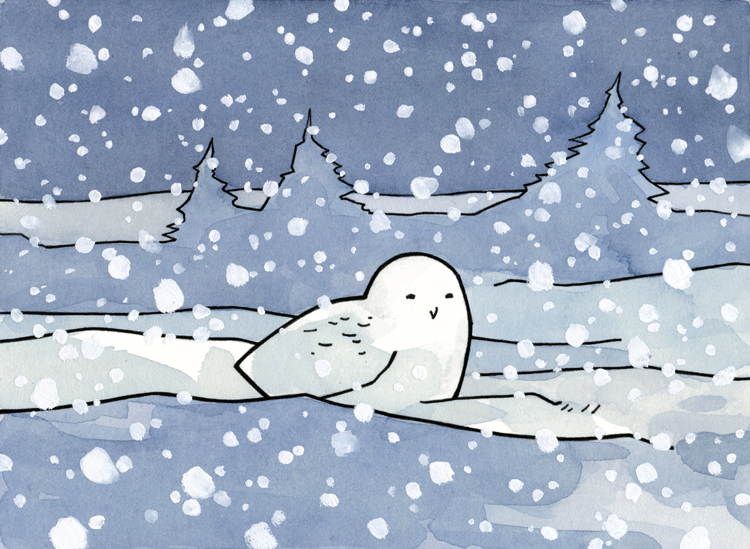 750x549 Owl, Moss, And Snow Drawing 100 Owls