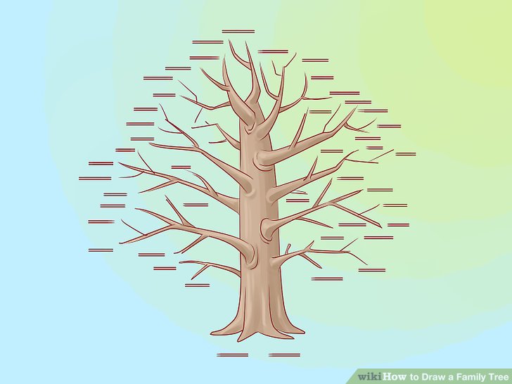 728x546 How To Draw A Family Tree 10 Steps (With Pictures)