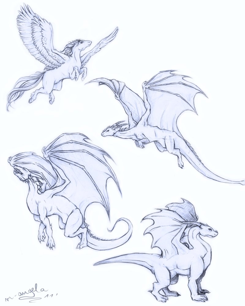 800x1000 Fantasy Creatures Sketches By M Angela Dragon