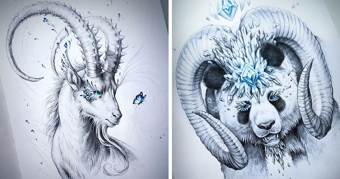 700x368 What I Do When Having An Art Block I Just Take Any Animal And Add