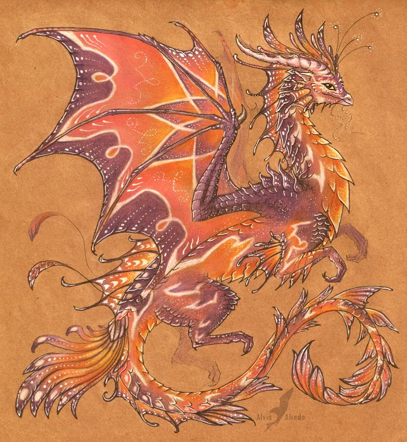 800x870 Dragons aand faries Fairy Dragon By Alviaalcedo