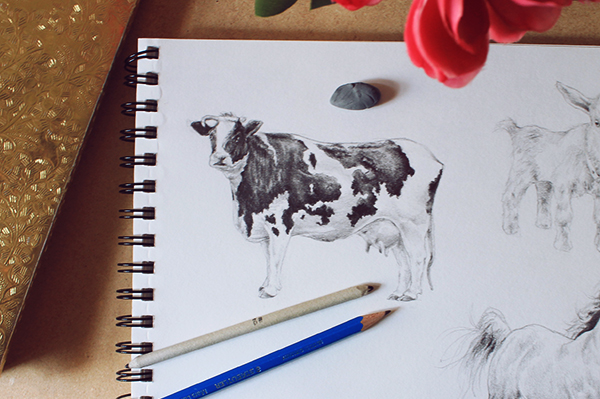 600x399 How To Draw Cows Amp Pigs Realistically