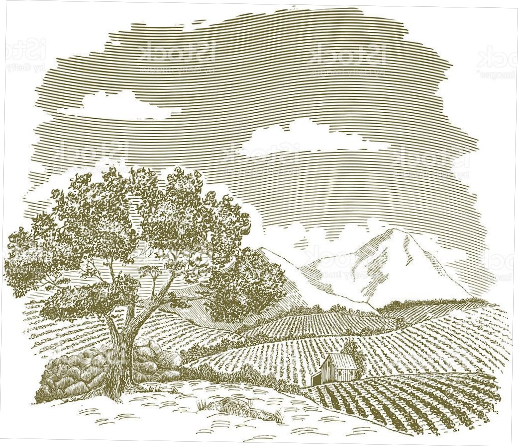 1041x898 Best Farm Field Drawing Galery 2018