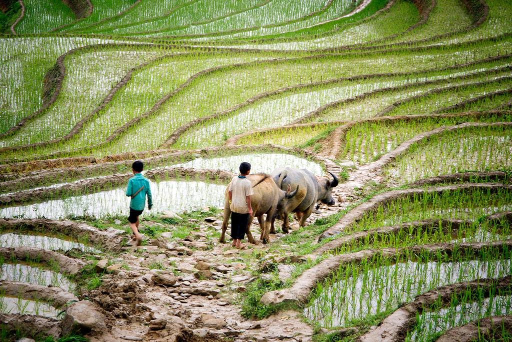 1024x683 Farmer Working In Field Drawing
