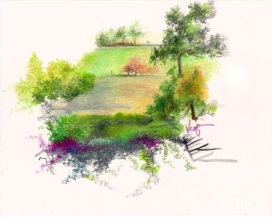 900x717 Field Drawing By William Vanya
