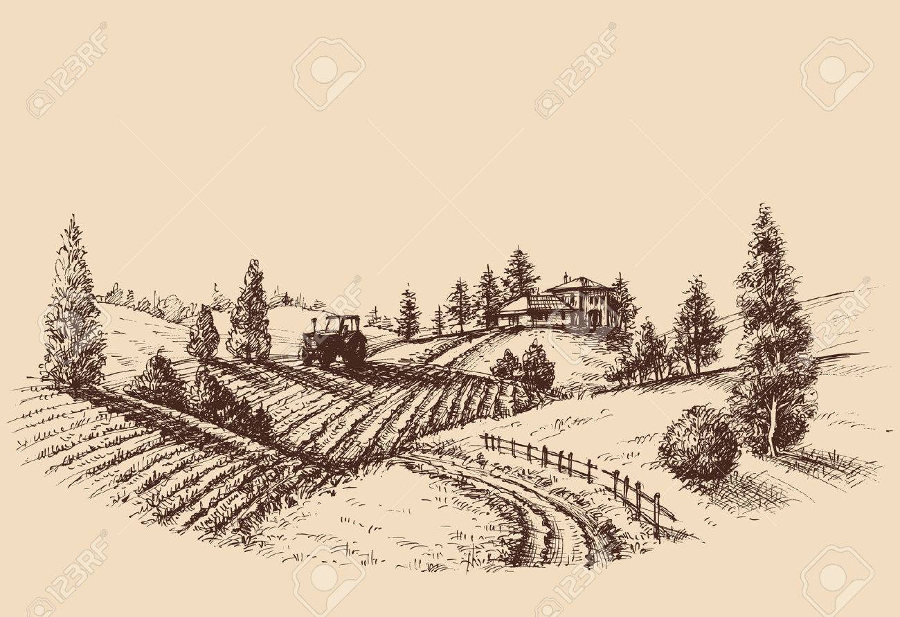 1300x892 Farm Landscape Etch, Agriculture Scene Royalty Free Cliparts