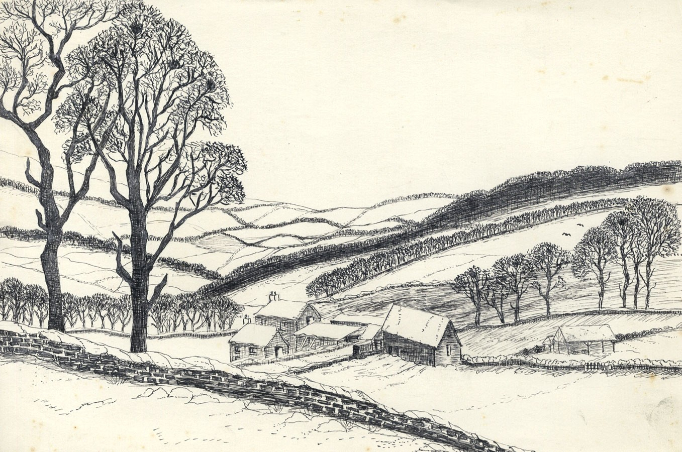 1357x900 Pen Landscape Drawing Elizabeth Painter