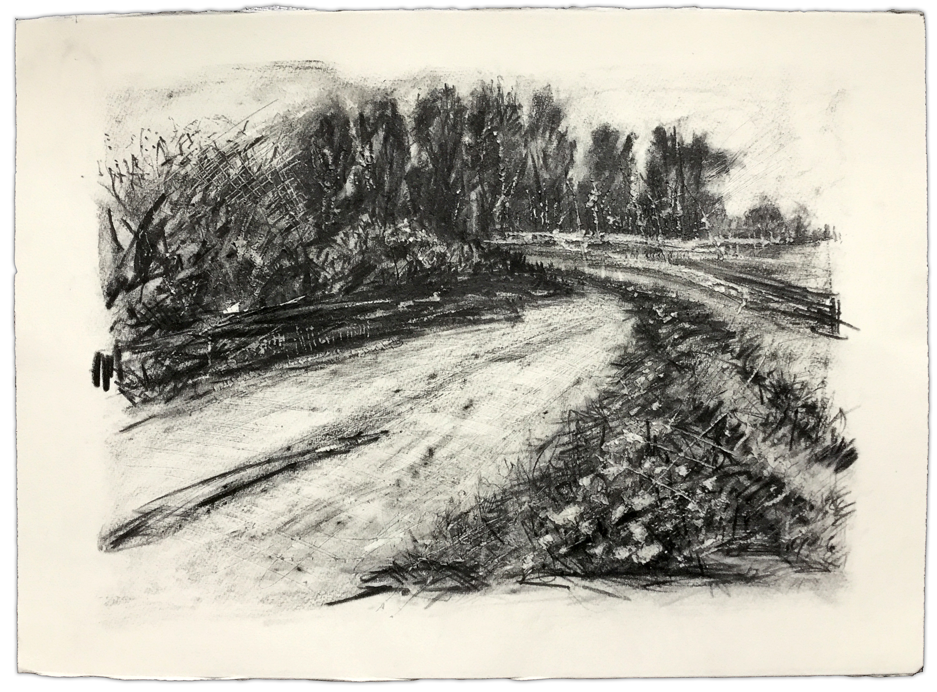 3180x2348 Sunk Island, East Bank Road, Near Wood Farm'. Late Spring,