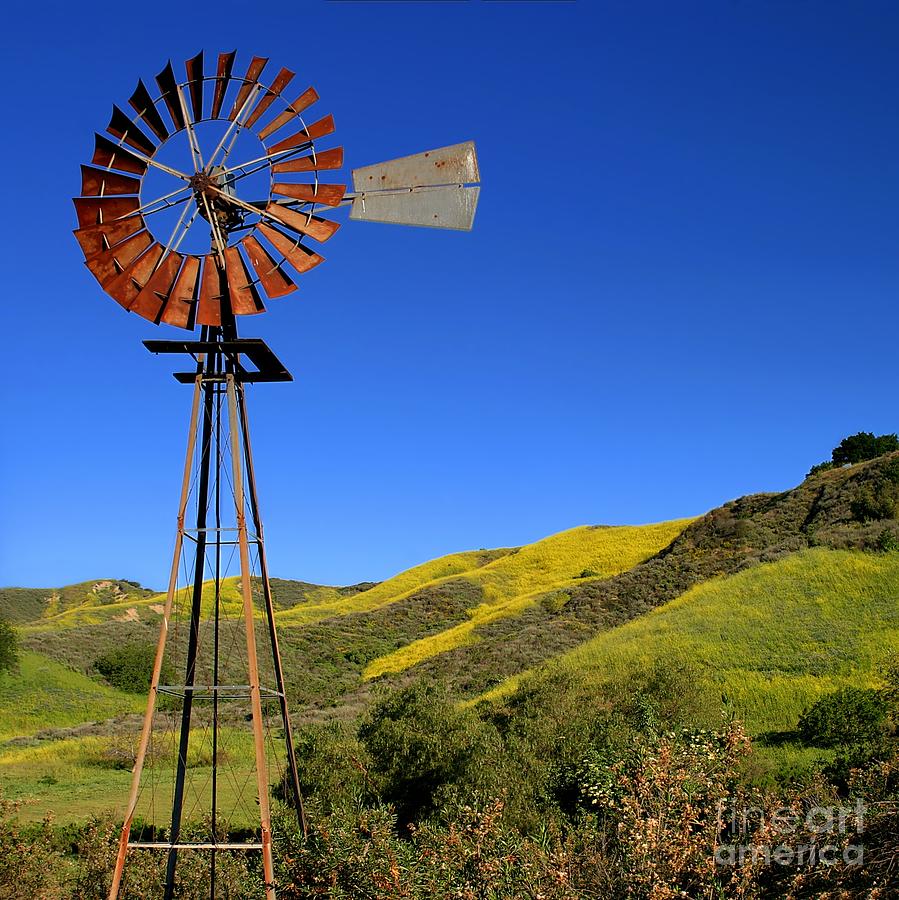 899x900 Windmill Photos Windmill Photograph By Henrik Lehnerer