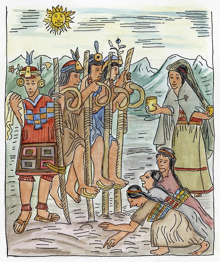755x900 Inca Farmers Drawing By Granger