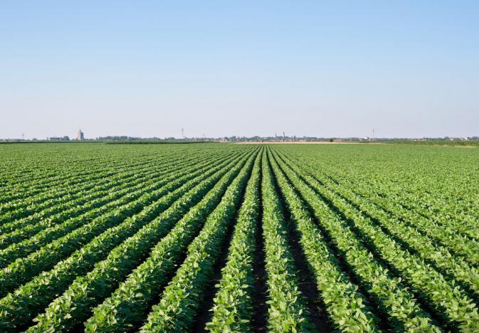 673x468 Farmland Auctions Still Drawing Plenty Of Bidders Ag Professional