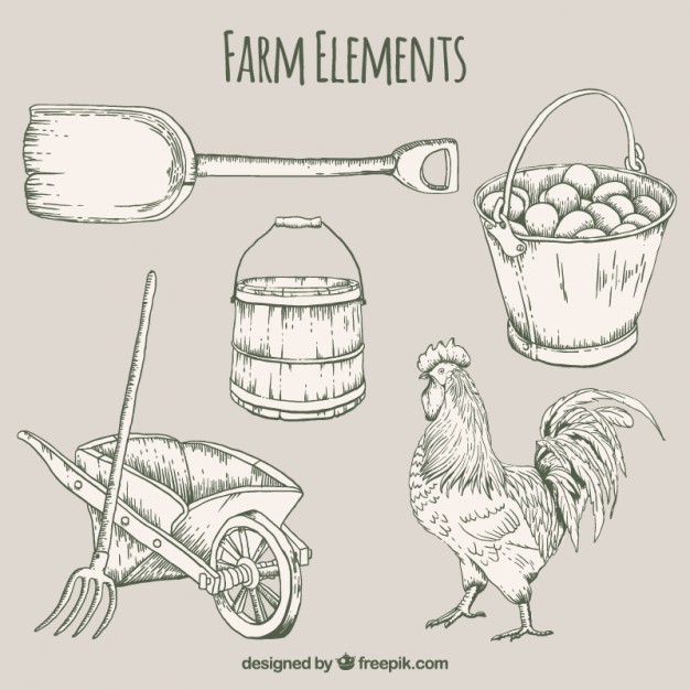 626x626 Hand Drawn Useful Farm Elements And Rooster Vector Free Download