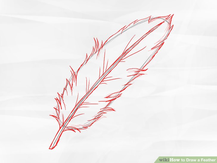 728x546 How To Draw A Feather 8 Steps (With Pictures)