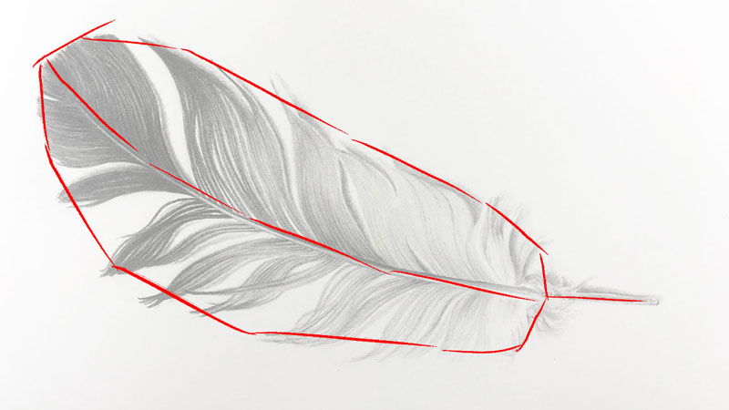 800x450 How To Draw A Feather
