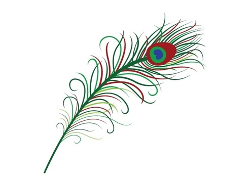 491x368 Peacock Feather Drawing Free Vector Download (89,970 Free Vector