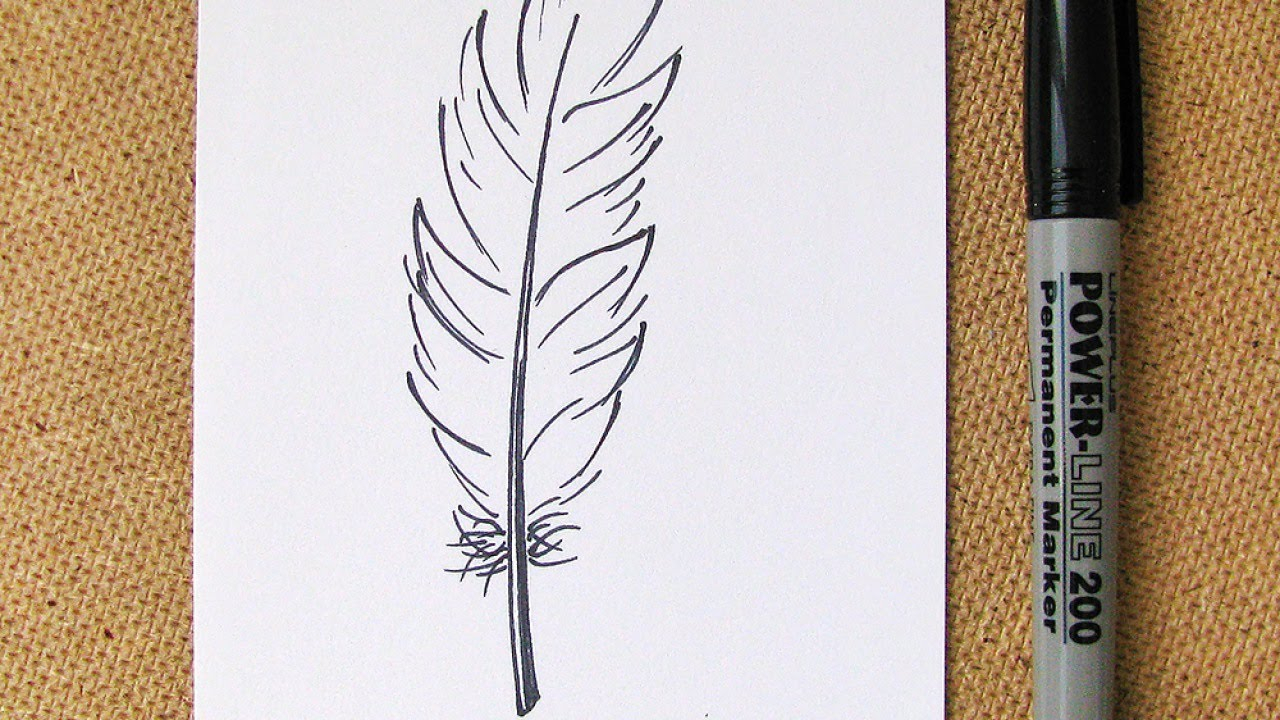 1280x720 Simple Drawing Of A Feather How To Draw An Easy Feather