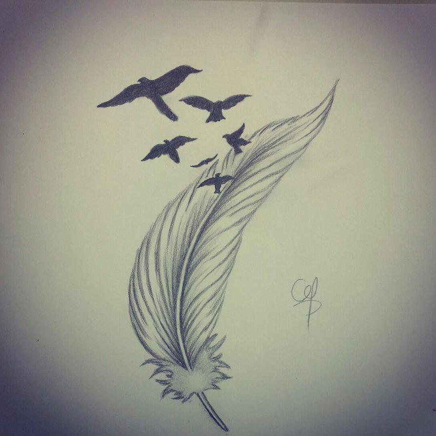 894x894 Draw Feather 4 By Qtattoo