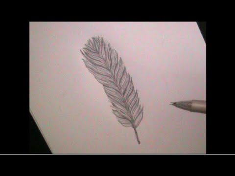 480x360 How To Draw A Feather For Beginners