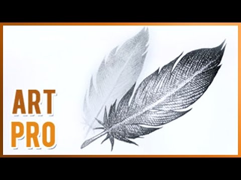 480x360 How To Draw A Feather Step By Step