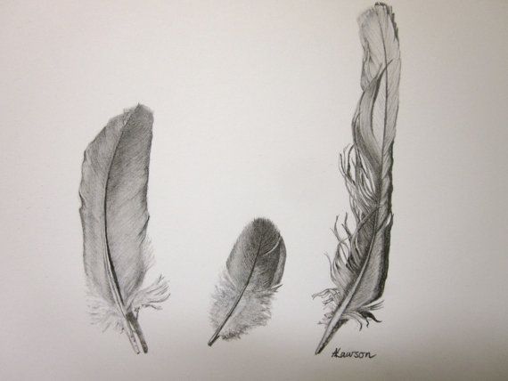 570x428 3 Feathers