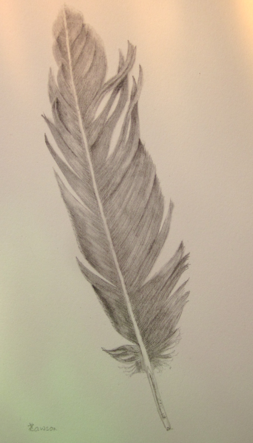 1067x1868 Goose Feather Anne Lawson