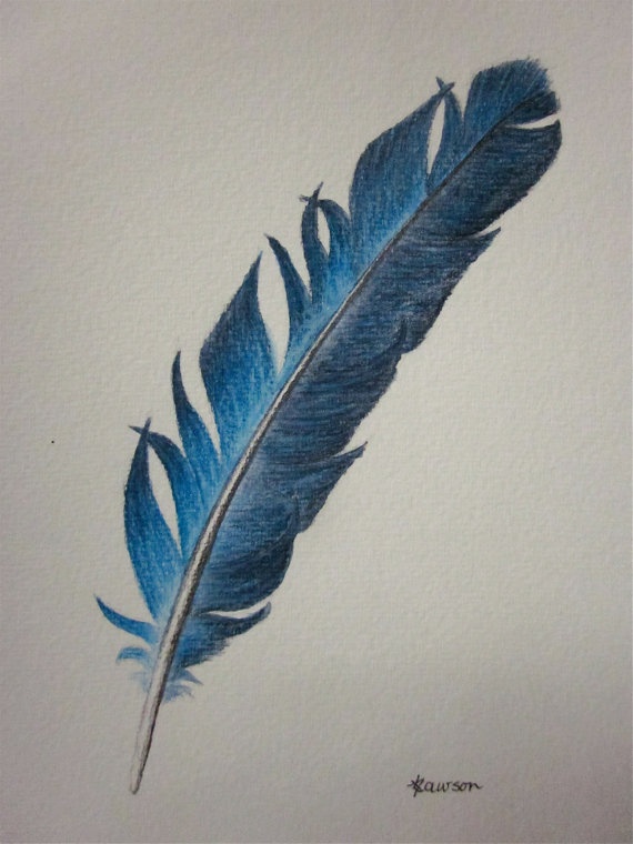 570x760 Photos Pencil Drawn Feathers,