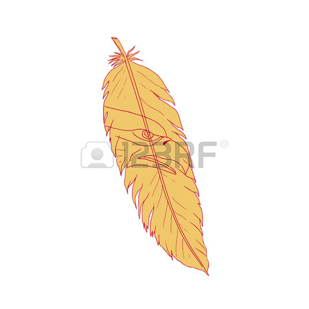 450x450 Drawing Sketch Style Illustration Of A Bird Feather With Sea