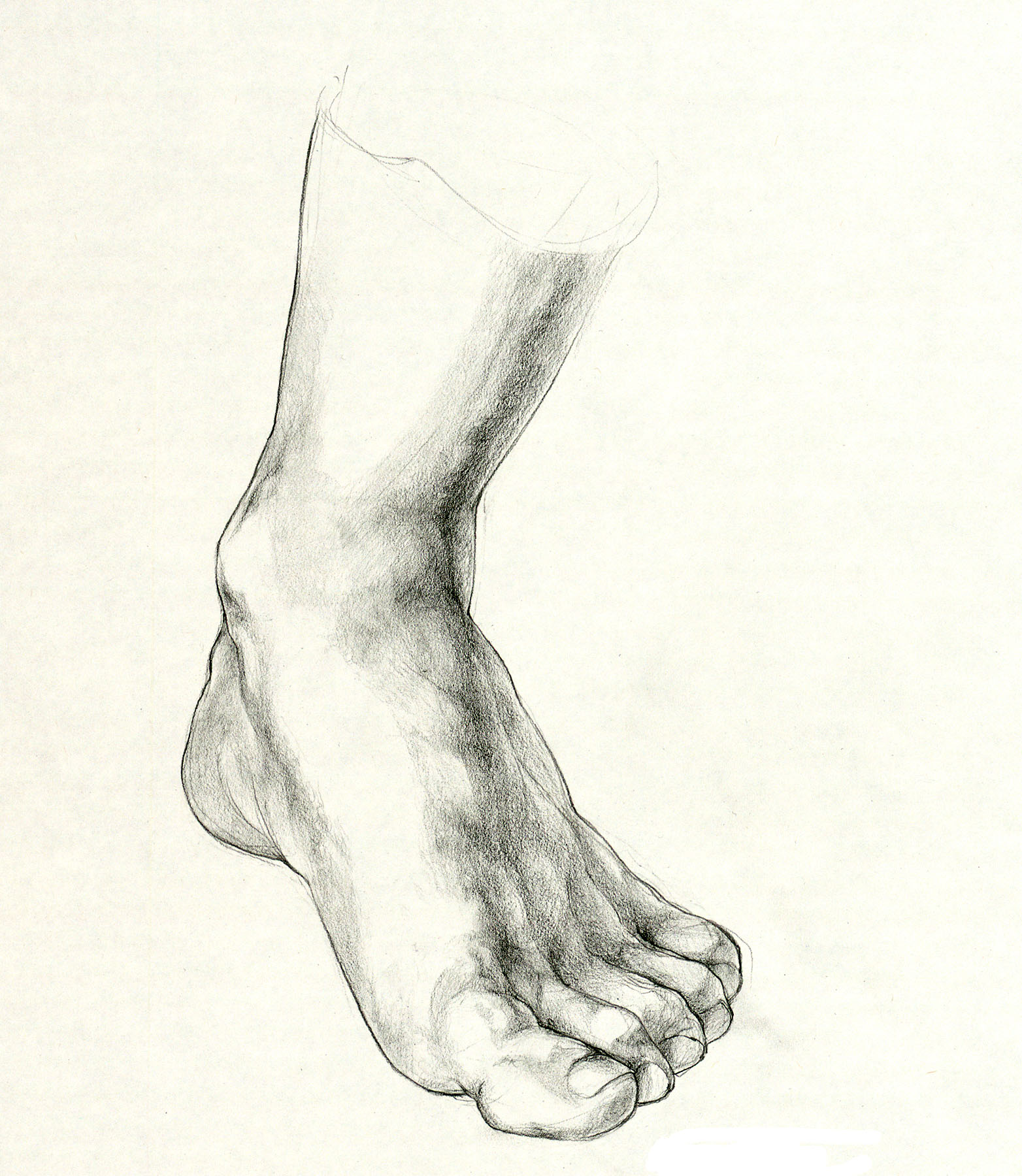 1564x1800 Drawing Of Feet