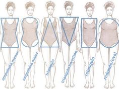 236x177 Female) Body Shapes