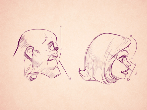 600x450 Cartoon Fundamentals How To Draw The Female Form