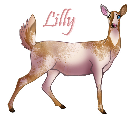 554x498 Doe A Deer A Female Deer By Eternal Dream