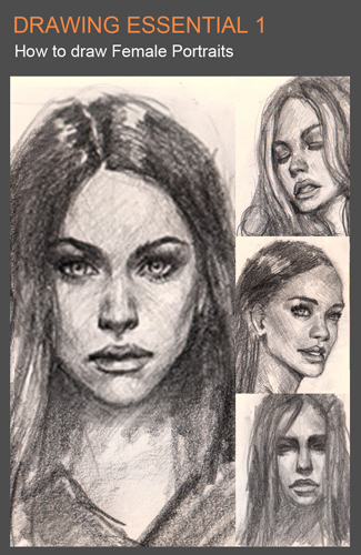 325x500 How To Draw Female Face