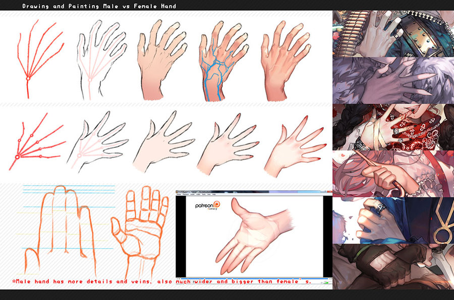 900x596 Drawing Hands Male Vs Female By Kawacy