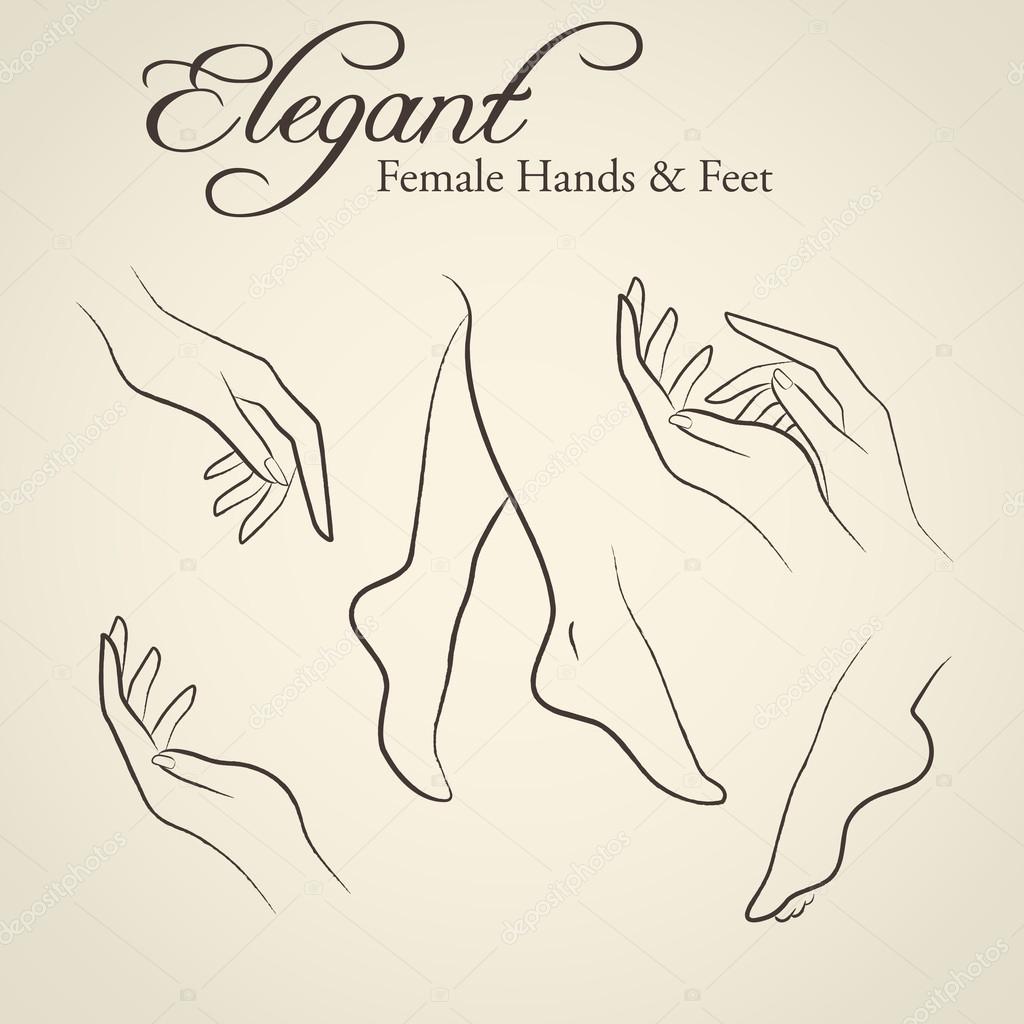 1024x1024 Elegant Silhouettes Of Female Hands And Feet Stock Vector