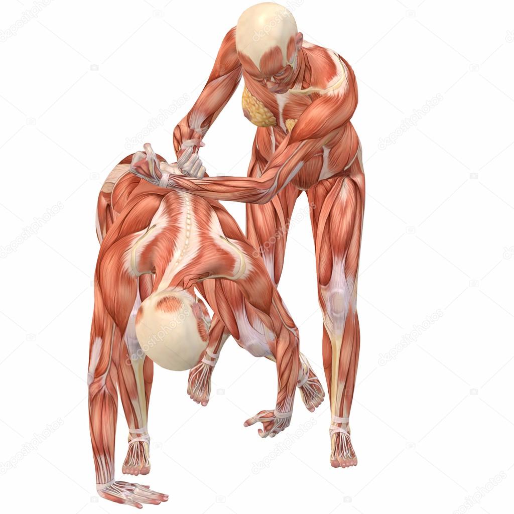 1024x1024 Female Human Body Anatomy Street Fight Stock Photo