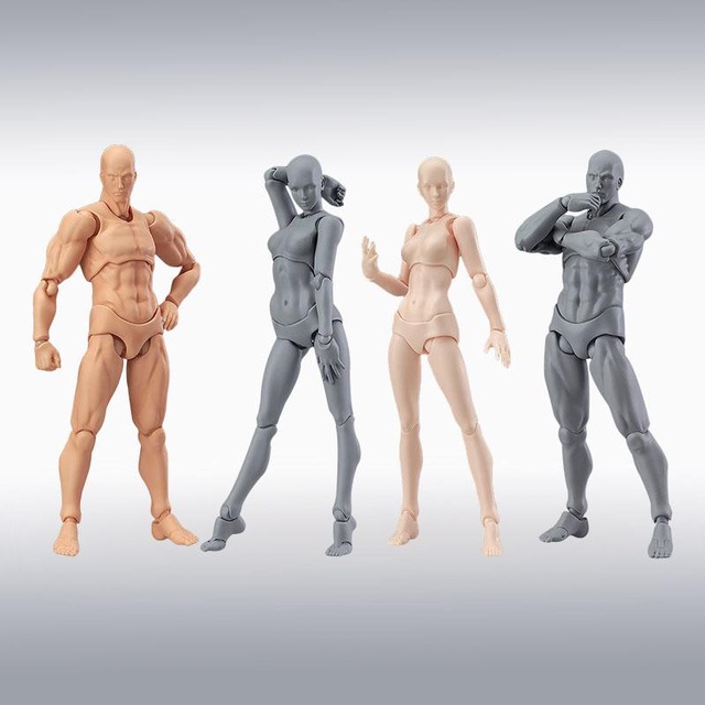 640x640 Male Female Action Figure Dolls Human Body Model Toys Figma