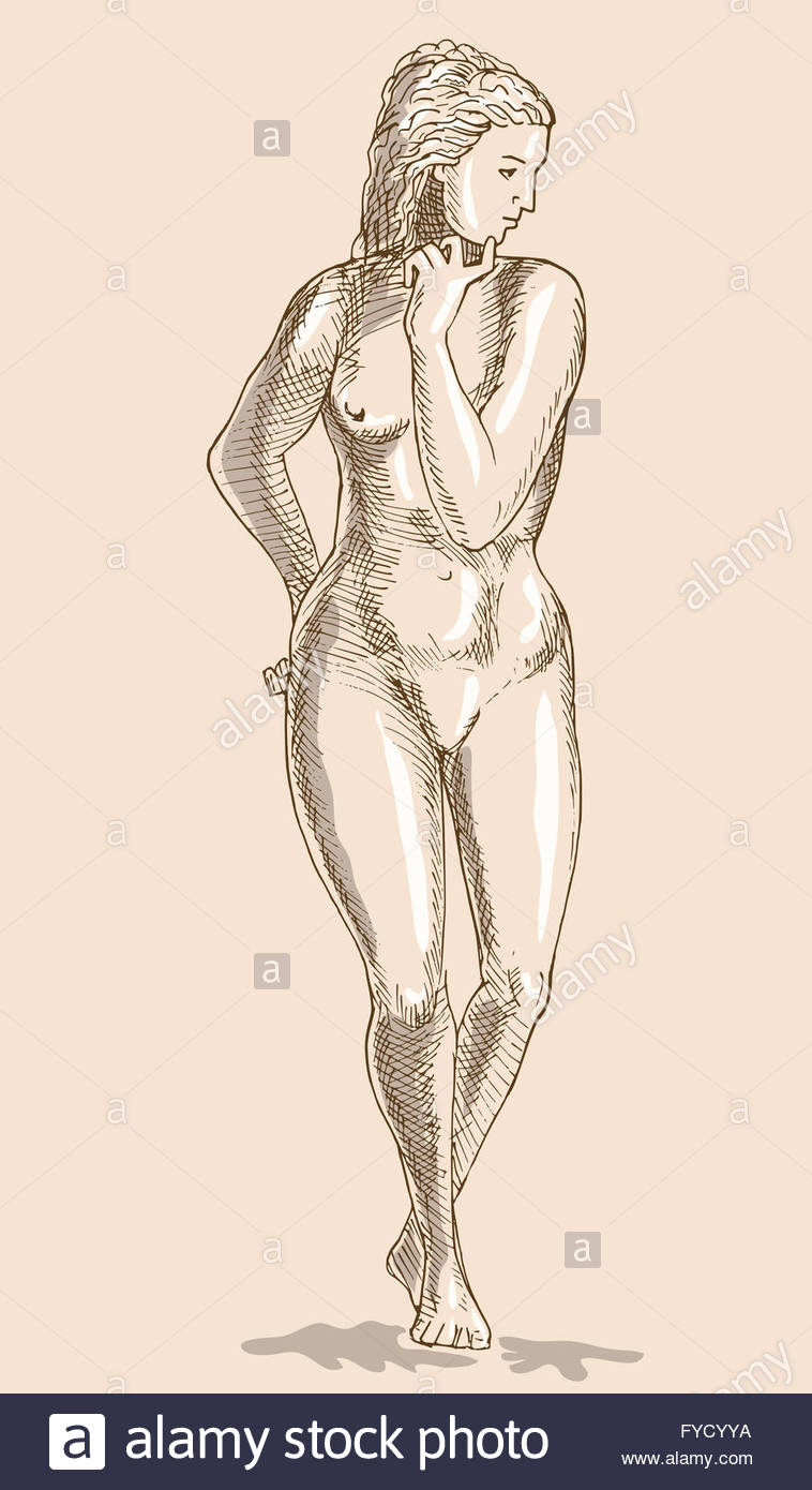 758x1390 Drawing Of The Female Human Anatomy Figure Stock Photo 102932910
