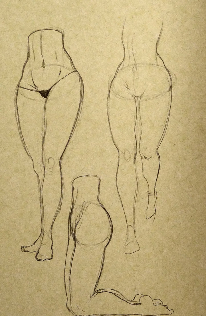 722x1106 Female Leg Studies 02 By ~oliverbarraza