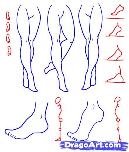 440x520 Step 4. How To Draw Female Figures, Female Figures Anatomy